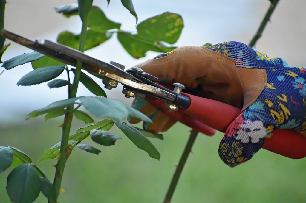 Werken in de tuin alleen voor de man Welnee